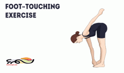 foot-touching-exercise.gif